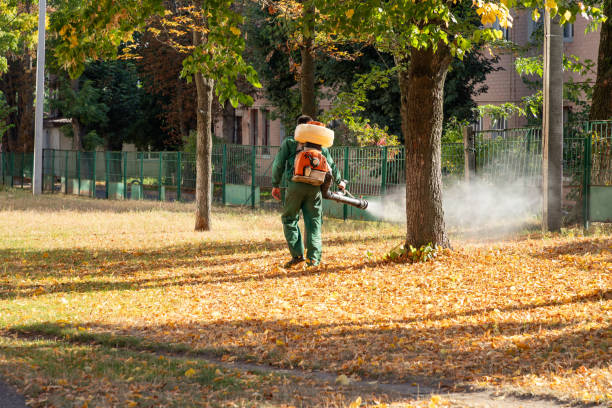 Pest Prevention Services in Sloan, NY